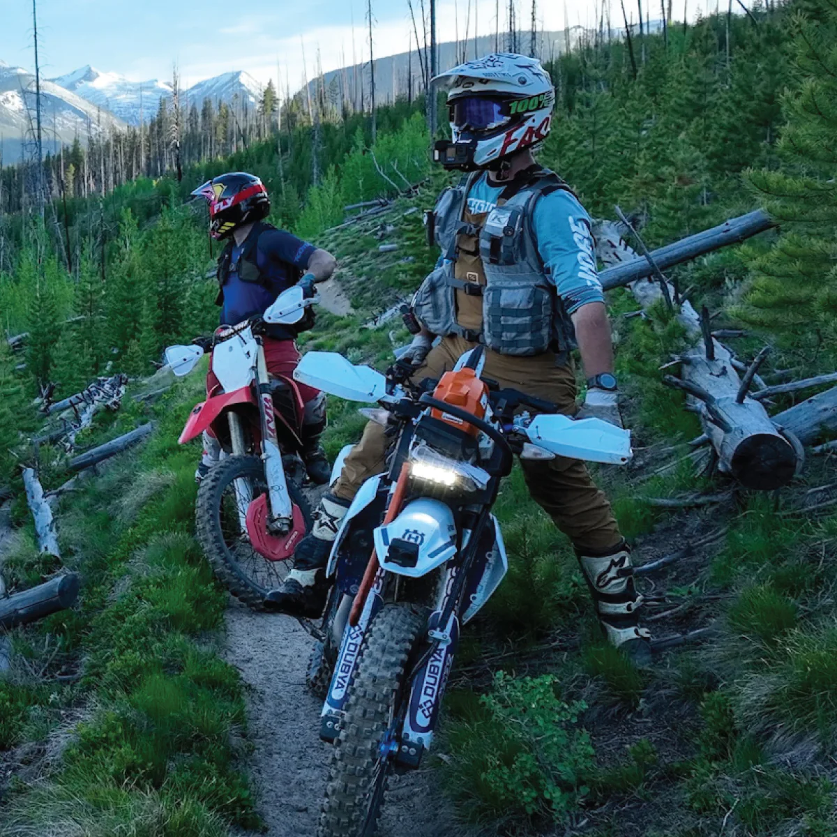 CHAINSAW MOUNT - Image 6