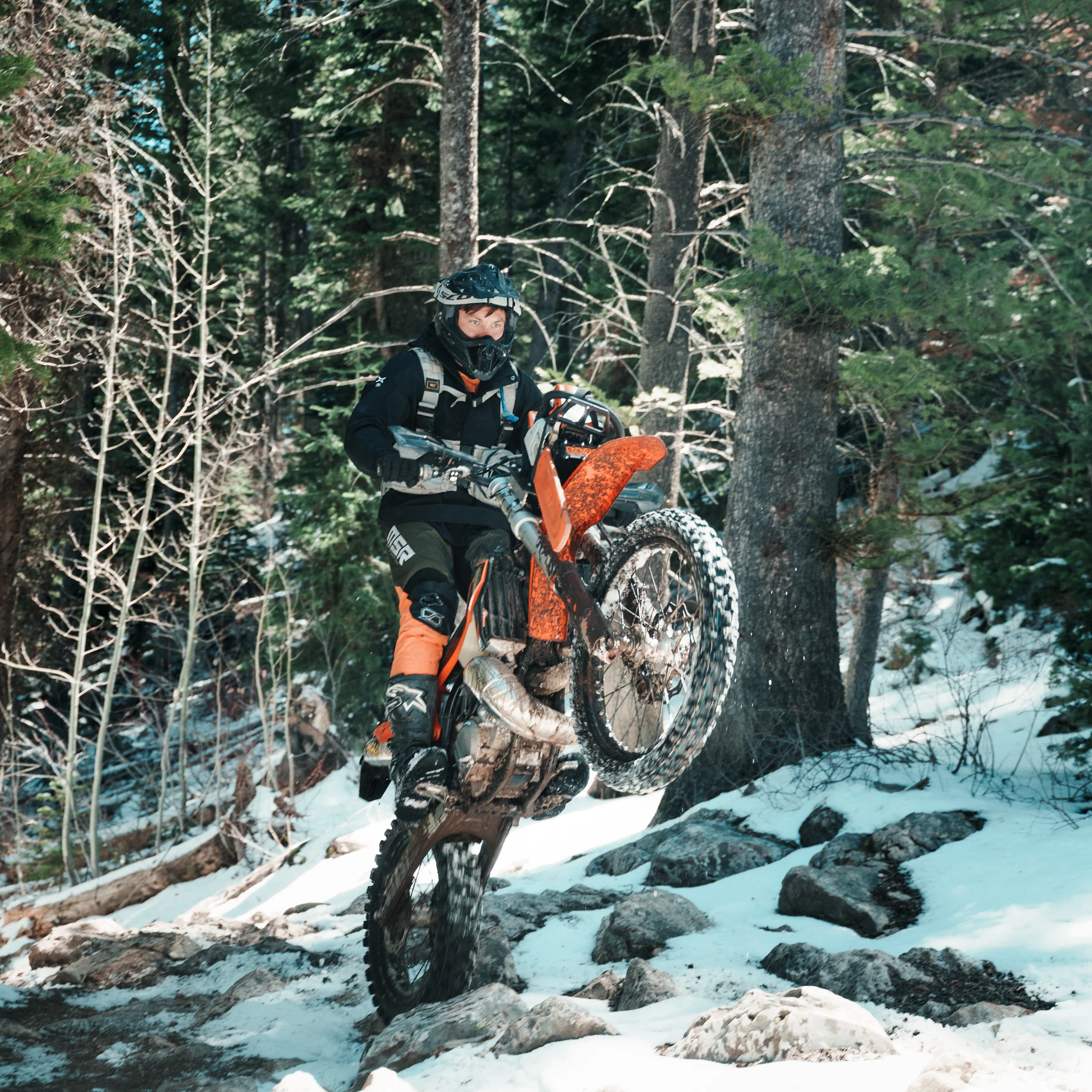 CHAINSAW MOUNT PRO BUNDLE - Image 5