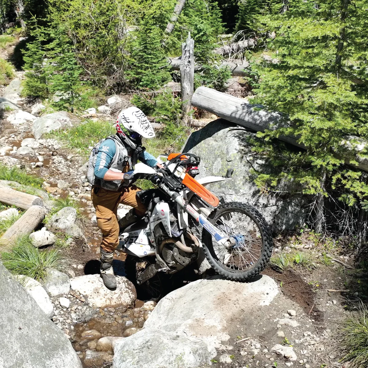 CHAINSAW MOUNT - Image 7